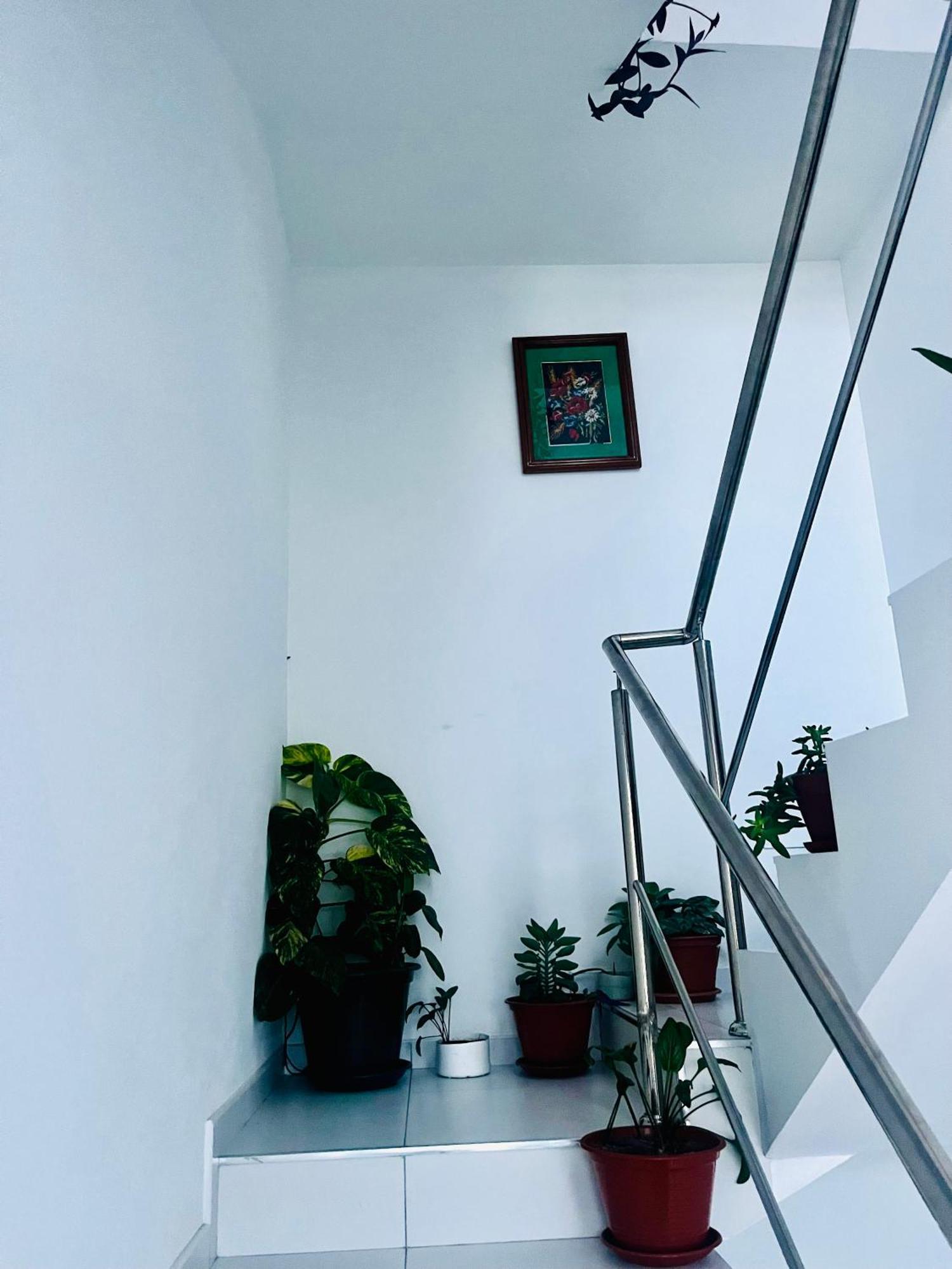 Oasis De Retour Apartment Ponta Do Sol Ngoại thất bức ảnh