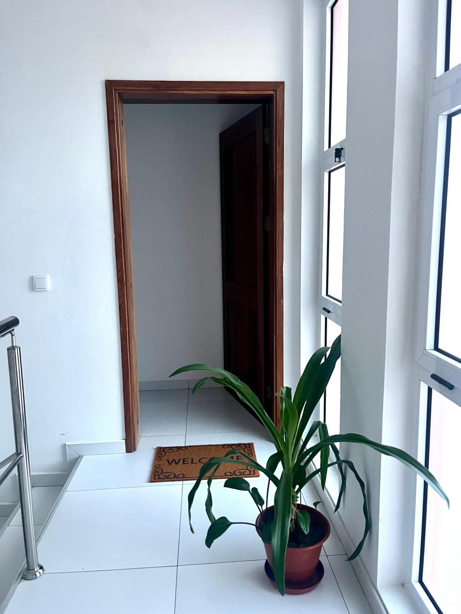 Oasis De Retour Apartment Ponta Do Sol Ngoại thất bức ảnh